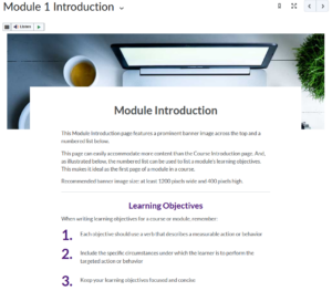 Image of Module Introduction contents